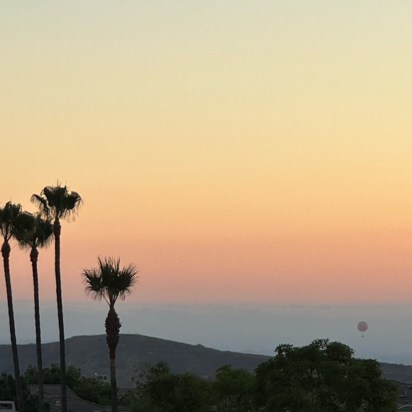 Meet your Posher, Lauren - Picture 3 of 3